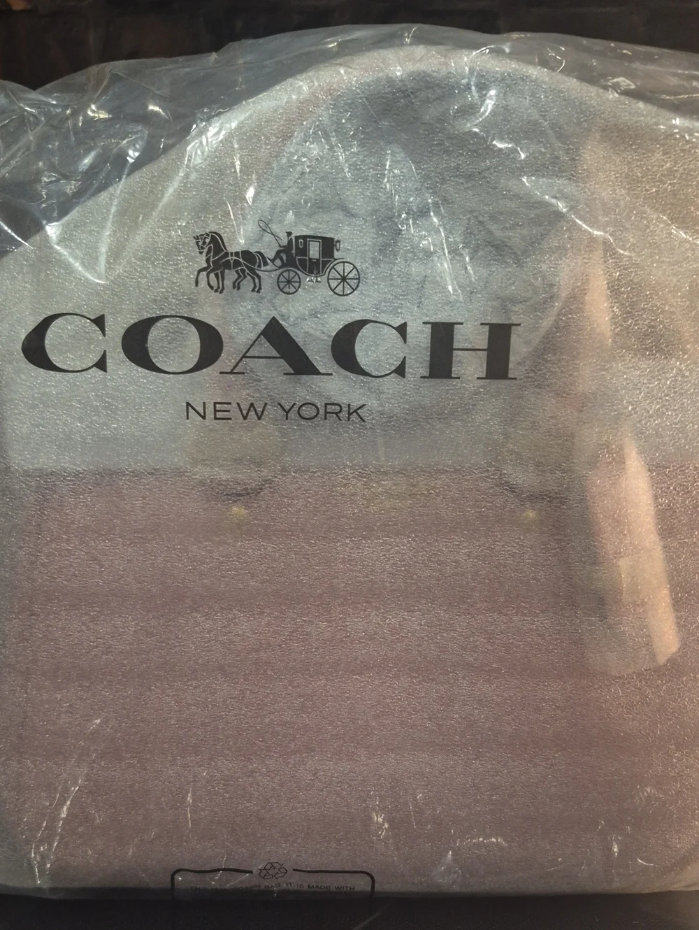 COACH Powder Pink (2025) Savannah Small Carryall *New In Package*